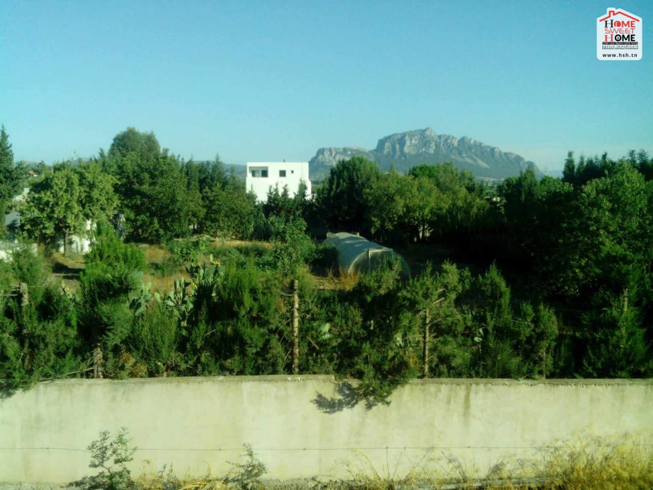 Vente Surfaces - Tunisie