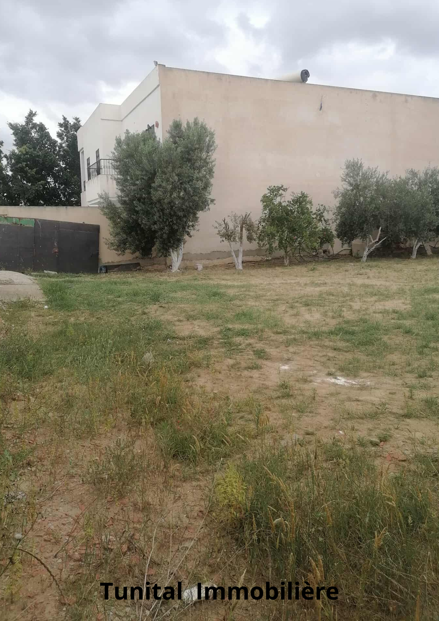 La Soukra Chotrana 3 Vente Autre La soukra chotrana 3 ct restaurant elfirma