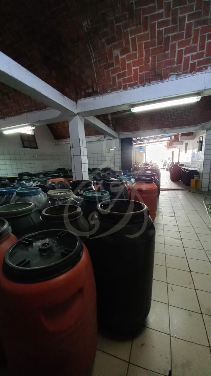 Hammamet Sidi Hmed Vente Autre Usine  hammamet sud