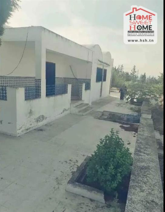 Vente Autre - Tunisie