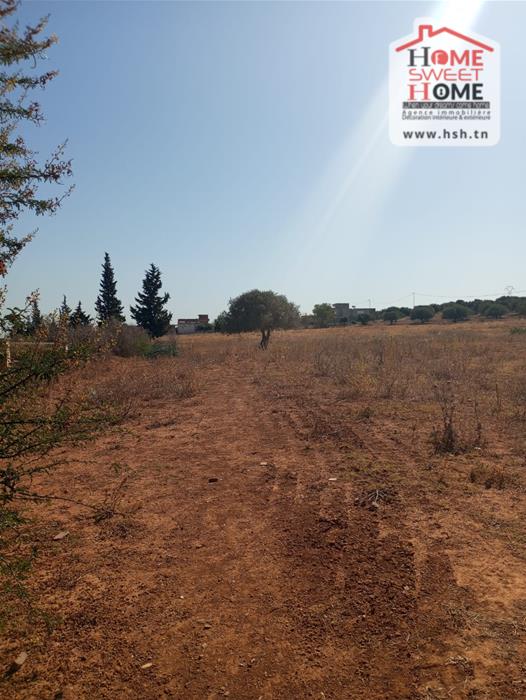 Vente Surfaces - Tunisie