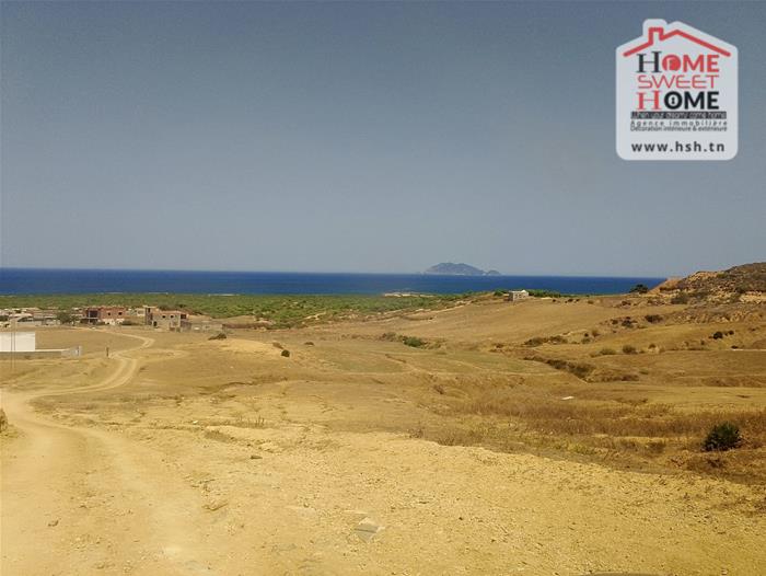 Vente Surfaces - Tunisie