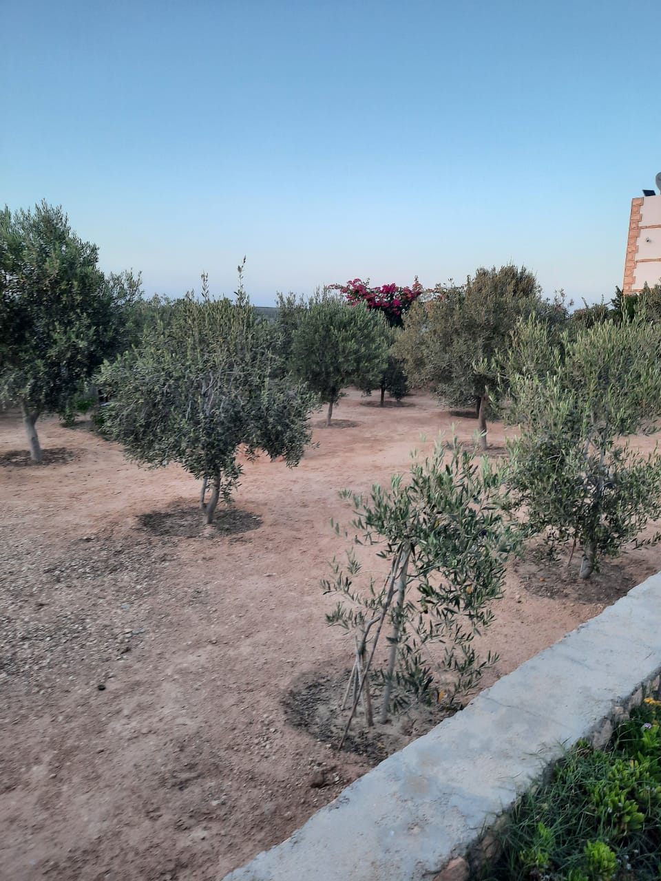 Vente Autre - Tunisie
