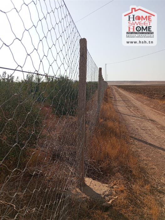 Vente Surfaces - Tunisie