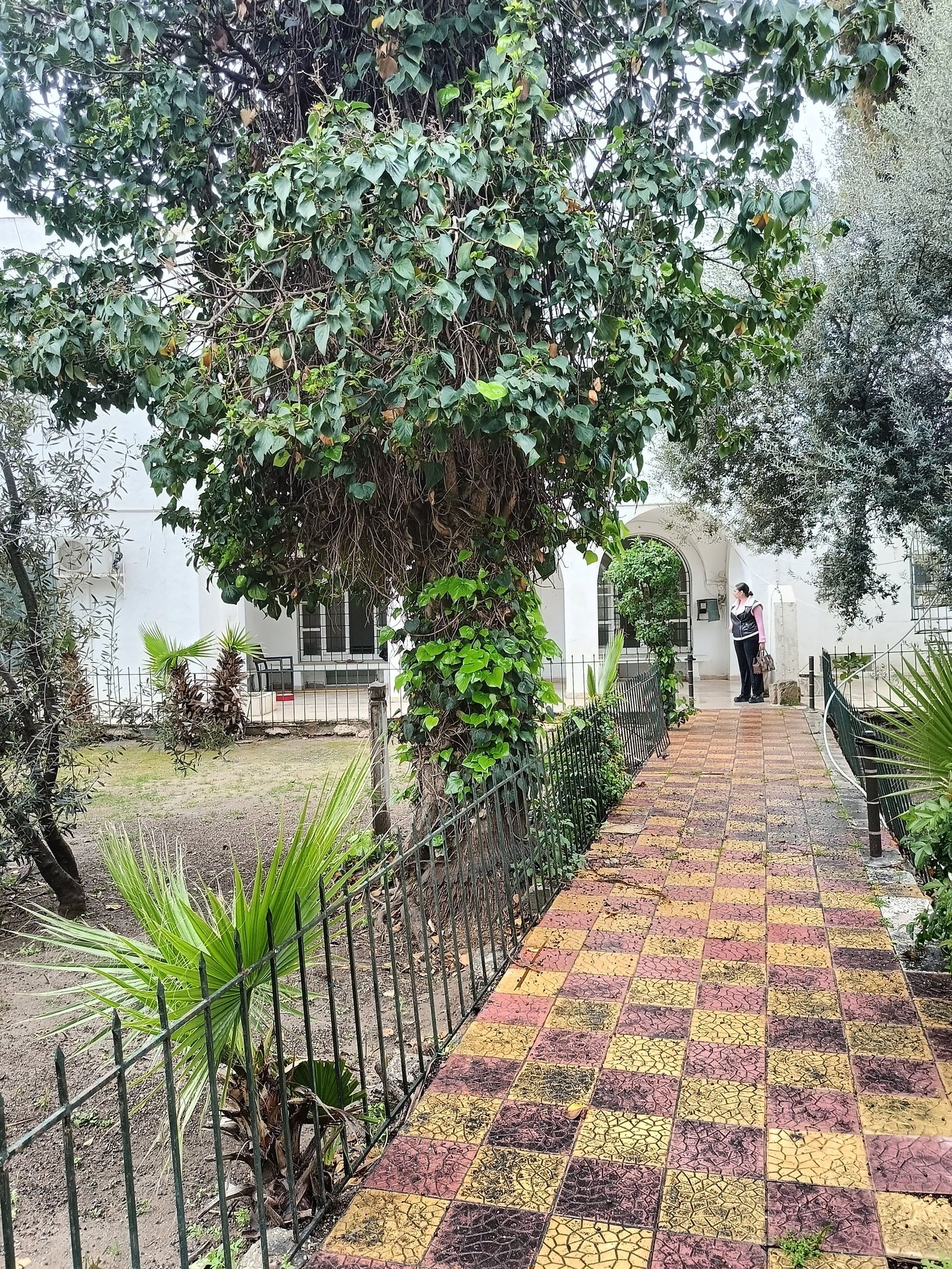 Vente Appart. 5 pièces+ - Tunisie