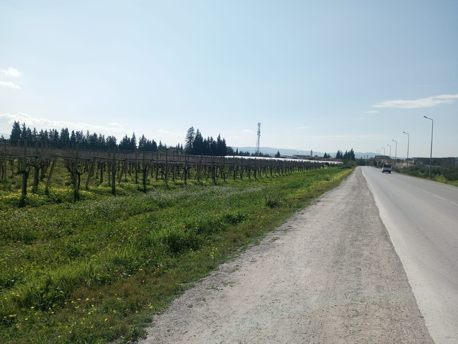 Mornag Ahmed Zaied Vente Autre Terrain 2 hectars ben arous mornag