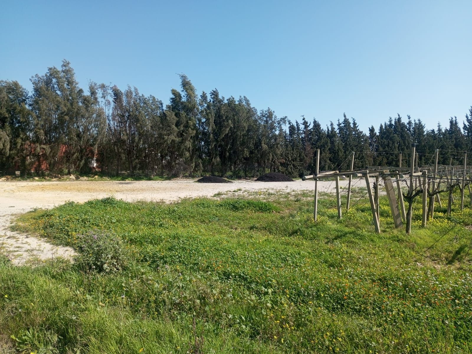 Vente Autre - Tunisie