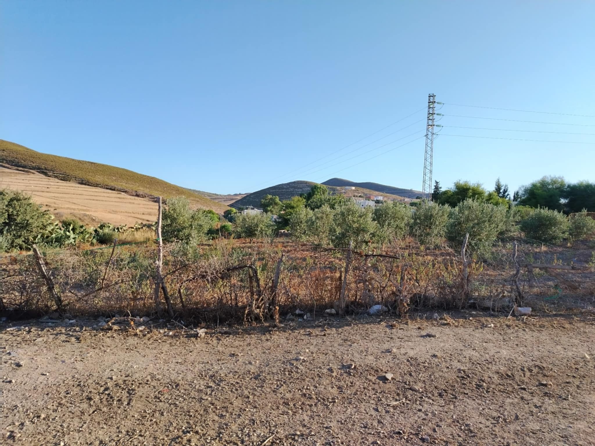 Mornag Khelidia Vente Autre Firma agricole