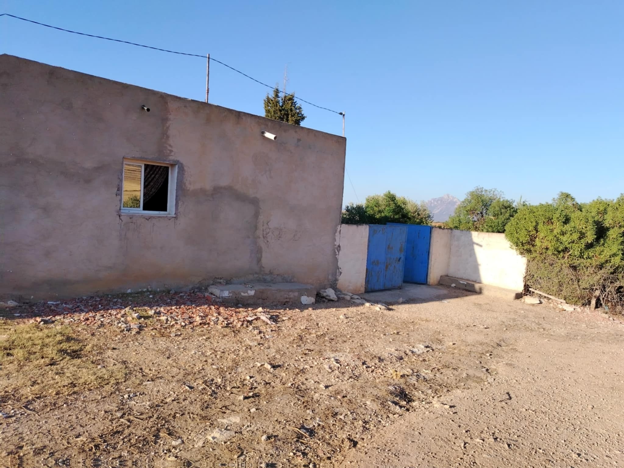 Mornag Khelidia Vente Autre Firma agricole