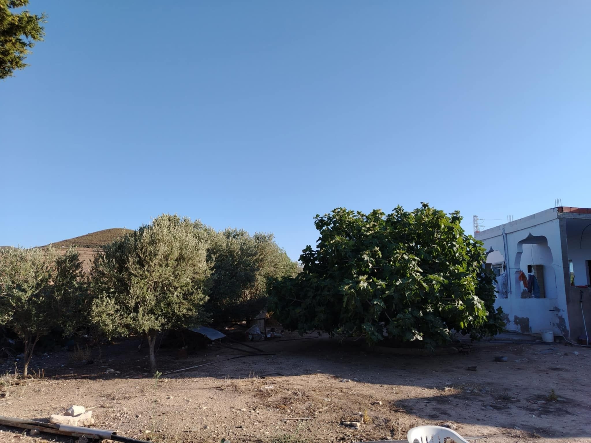 Mornag Khelidia Vente Autre Firma agricole