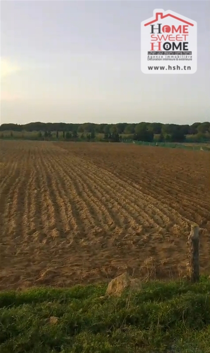 Kelibia Azmour Vente Autre Terrain agricole sama   klibia