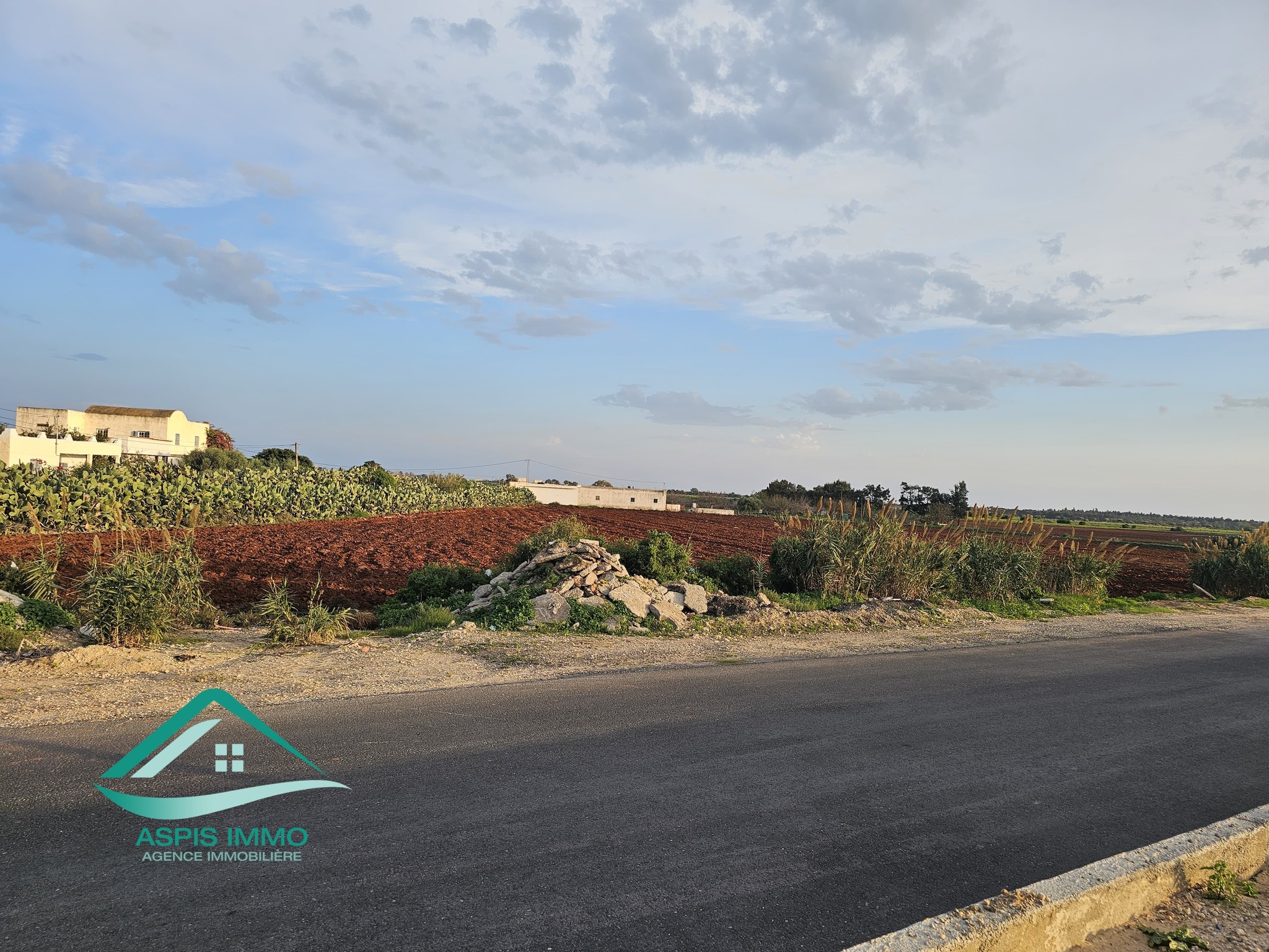 Menzel Temime Lebna Vente Surfaces Vt141 ferme 10 hectares sur la route  libna