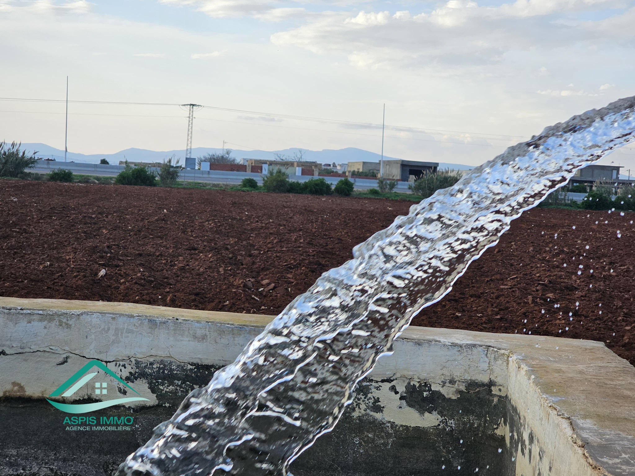 Menzel Temime Lebna Vente Surfaces Vt141 ferme 10 hectares sur la route  libna