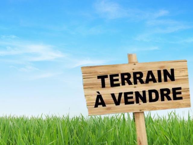Vente Surfaces - Tunisie