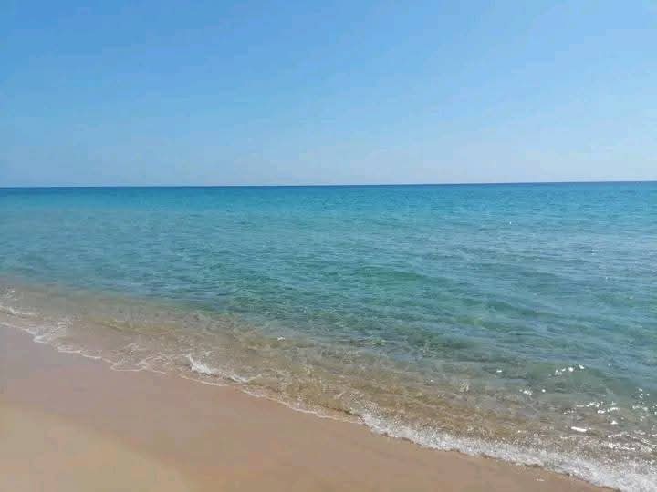Vente Appart. 2 pices - Tunisie