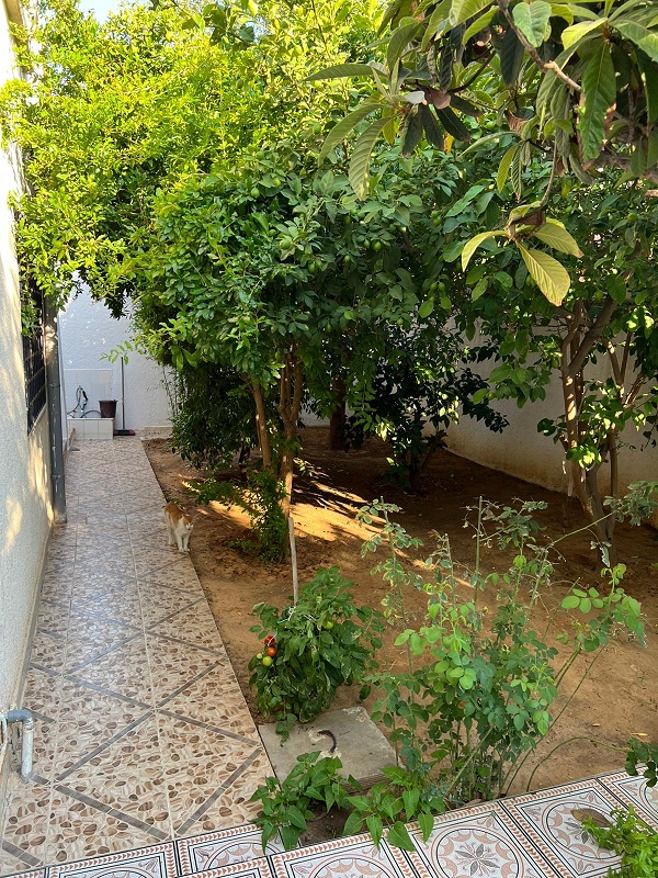 Fouchana Naassen Vente Maisons Villa  naasen