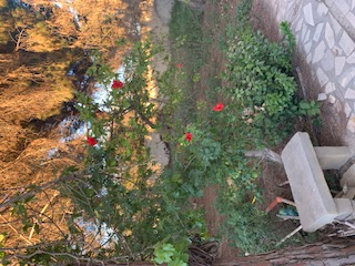 Carthage Carthage Vente Surfaces Land for sale in tunisia carthage 2188square meter