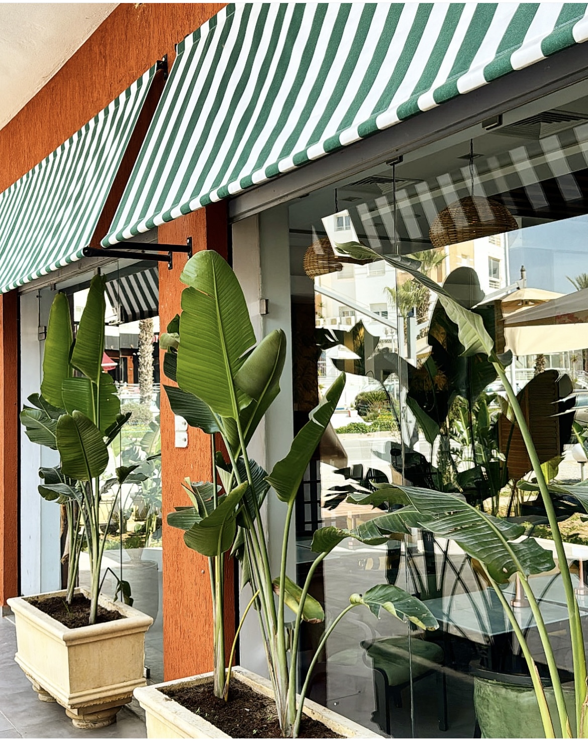 Nabeul Residence Oasis Bleu Vente Autre Salon de th