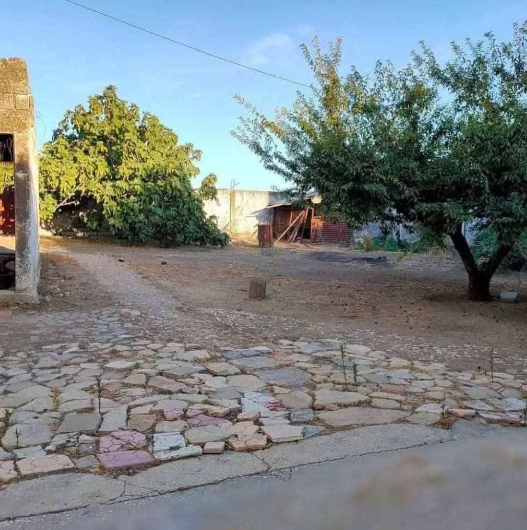 Utique Ain Ghelal Vente Maisons Immeuble magnifique  ain ghlel