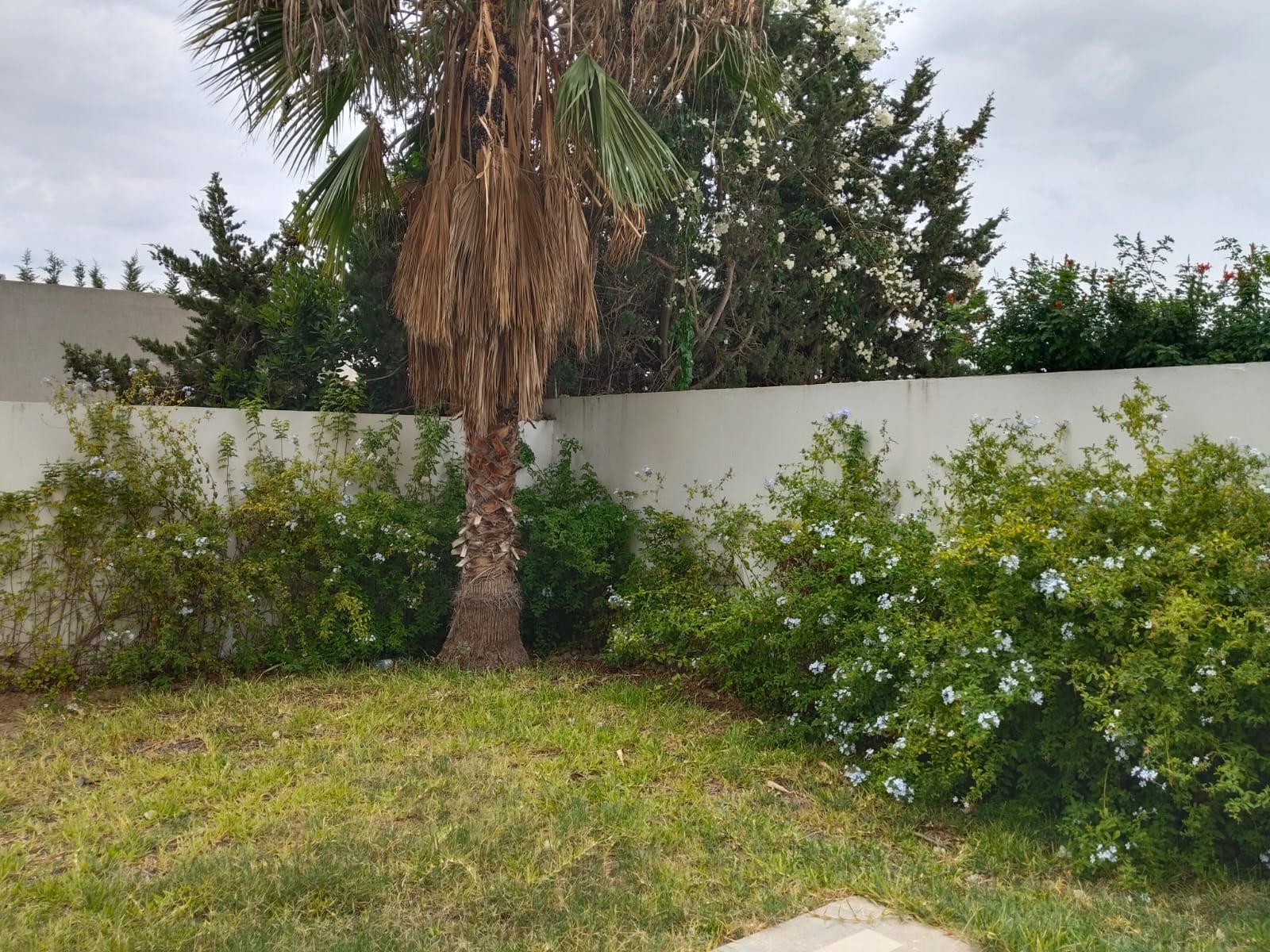 Vente Duplex - Tunisie