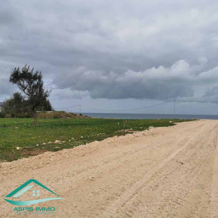 Kelibia Dar Allouche Vente Surfaces Vt783 des terrains  plage dar allouche