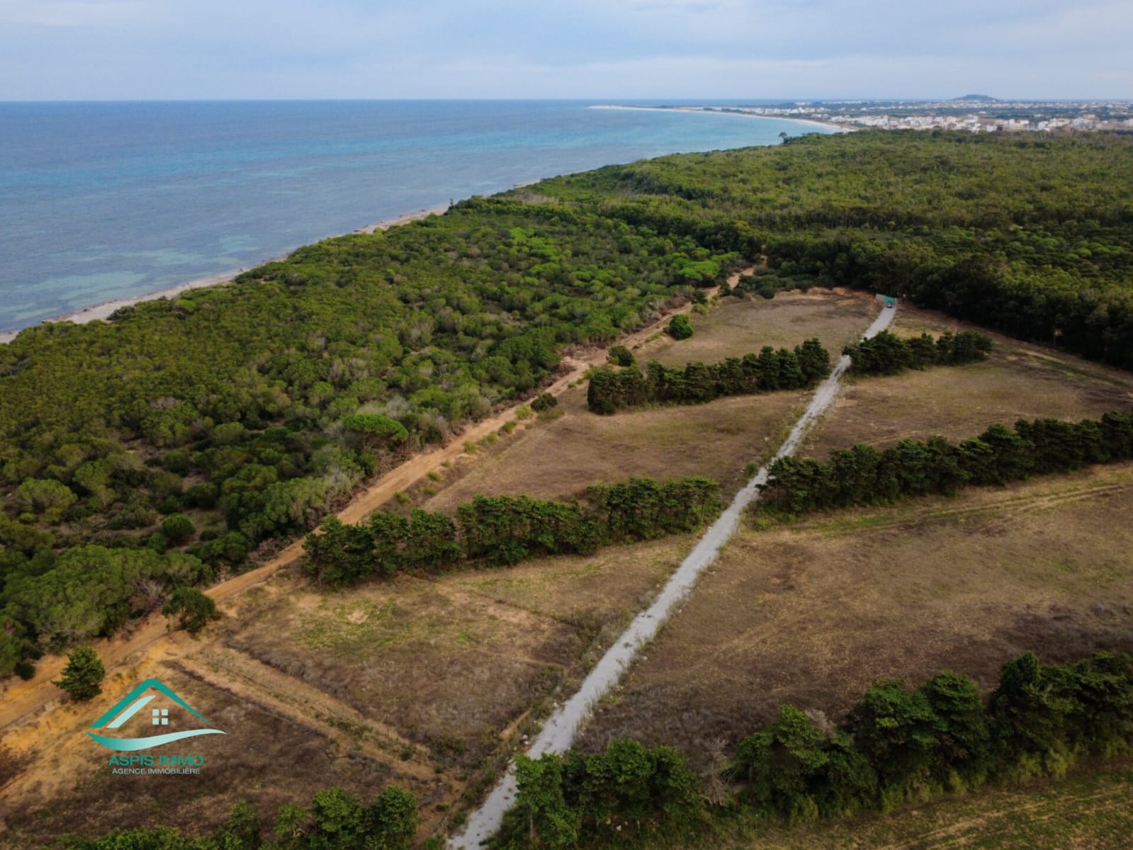 Vente Surfaces - Tunisie