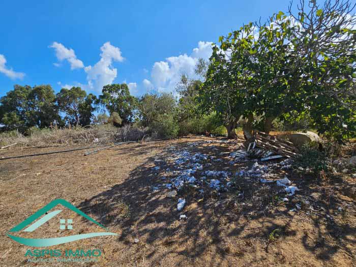 Vente Surfaces - Tunisie