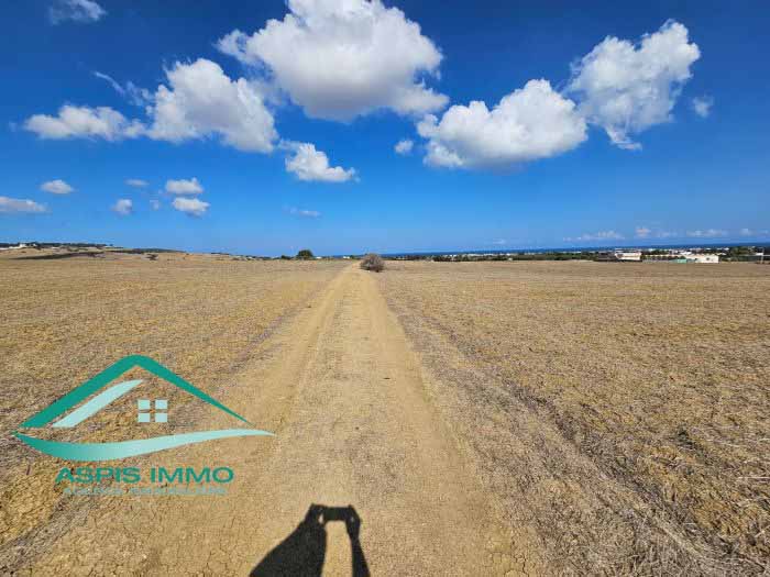 Hammam El Ghezaz&nbsp;Tamazrat&nbsp;Vente&nbsp;Surfaces&nbsp;Vt850 terrain agricole 5980 m2 � tamezrat kelibia