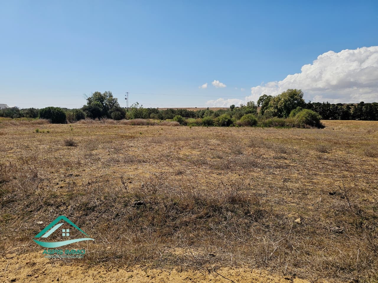 Hammam El Ghezaz&nbsp;Tamazrat&nbsp;Vente&nbsp;Surfaces&nbsp;Vt1004 terrain 1700 m2 � tamezrat kelibia