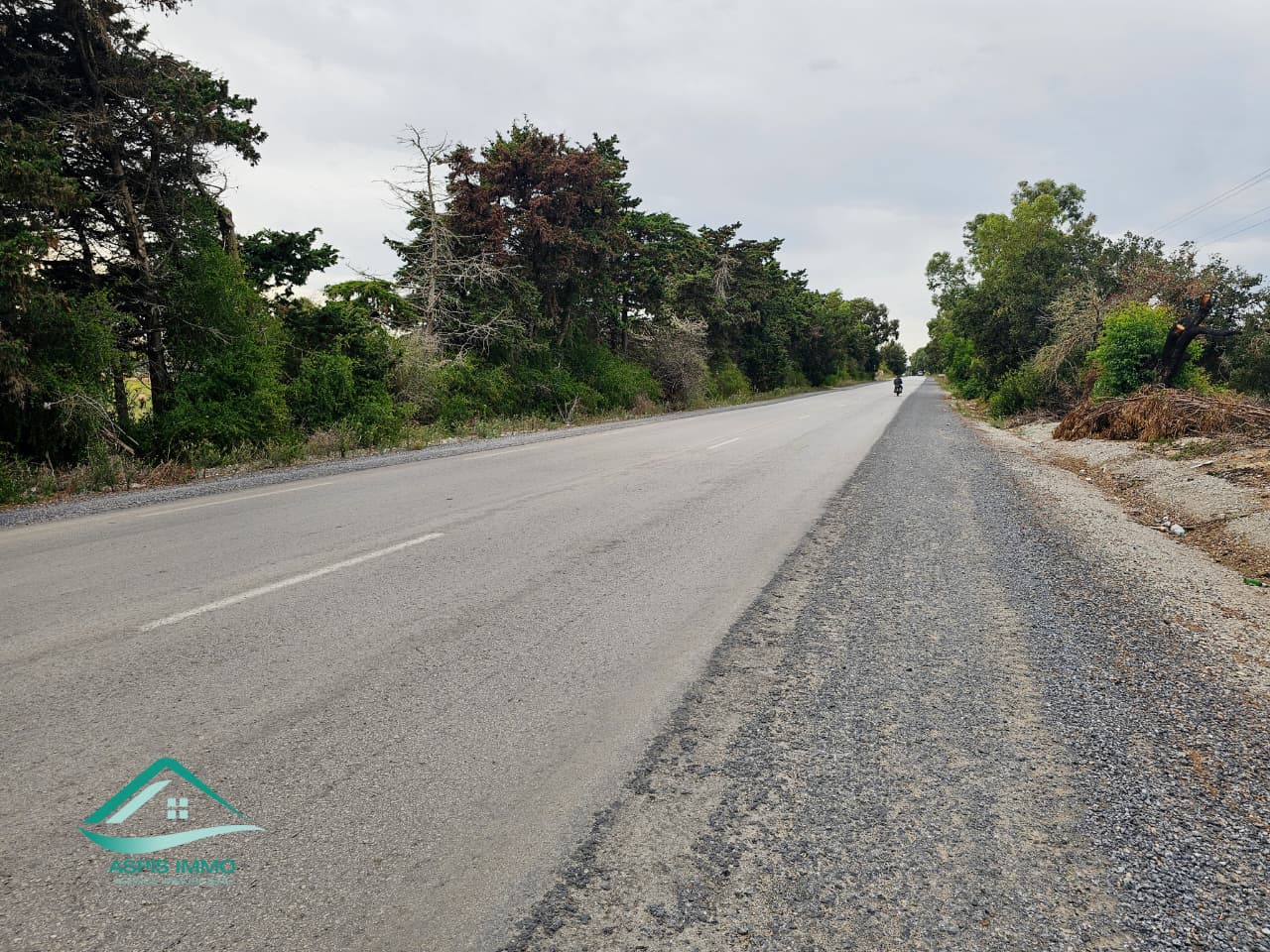 Vente Surfaces - Tunisie