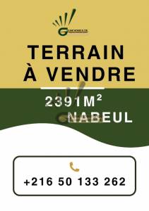 Vente Surfaces - Tunisie