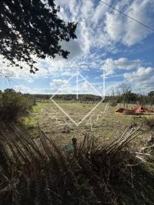 Ras Jebel&nbsp;Metline&nbsp;Vente&nbsp;Surfaces&nbsp;Terrain    bizerte ref218a