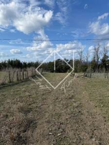 Ras Jebel&nbsp;Metline&nbsp;Vente&nbsp;Surfaces&nbsp;Terrain    bizerte ref218a