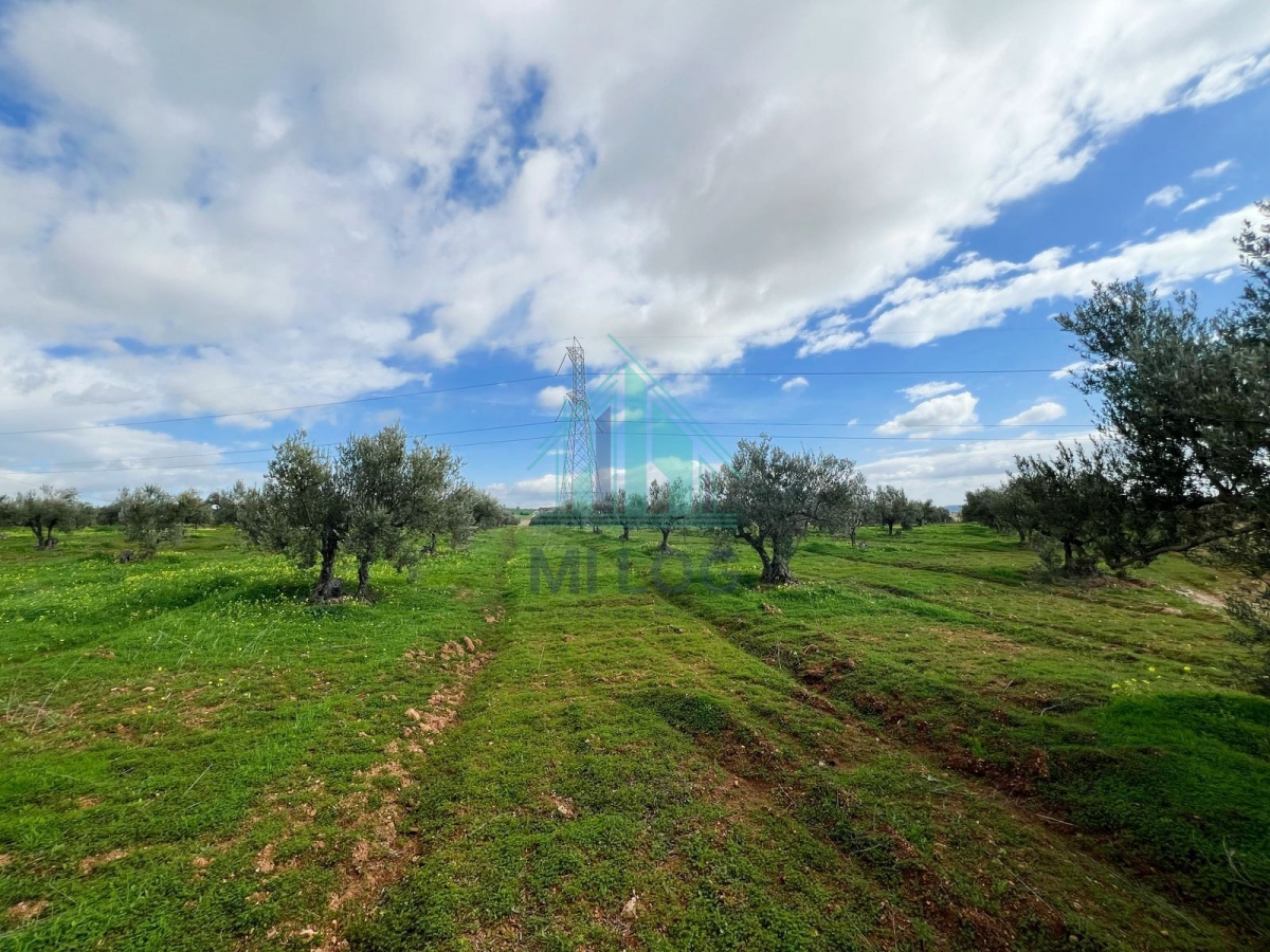 Vente Autre - Tunisie