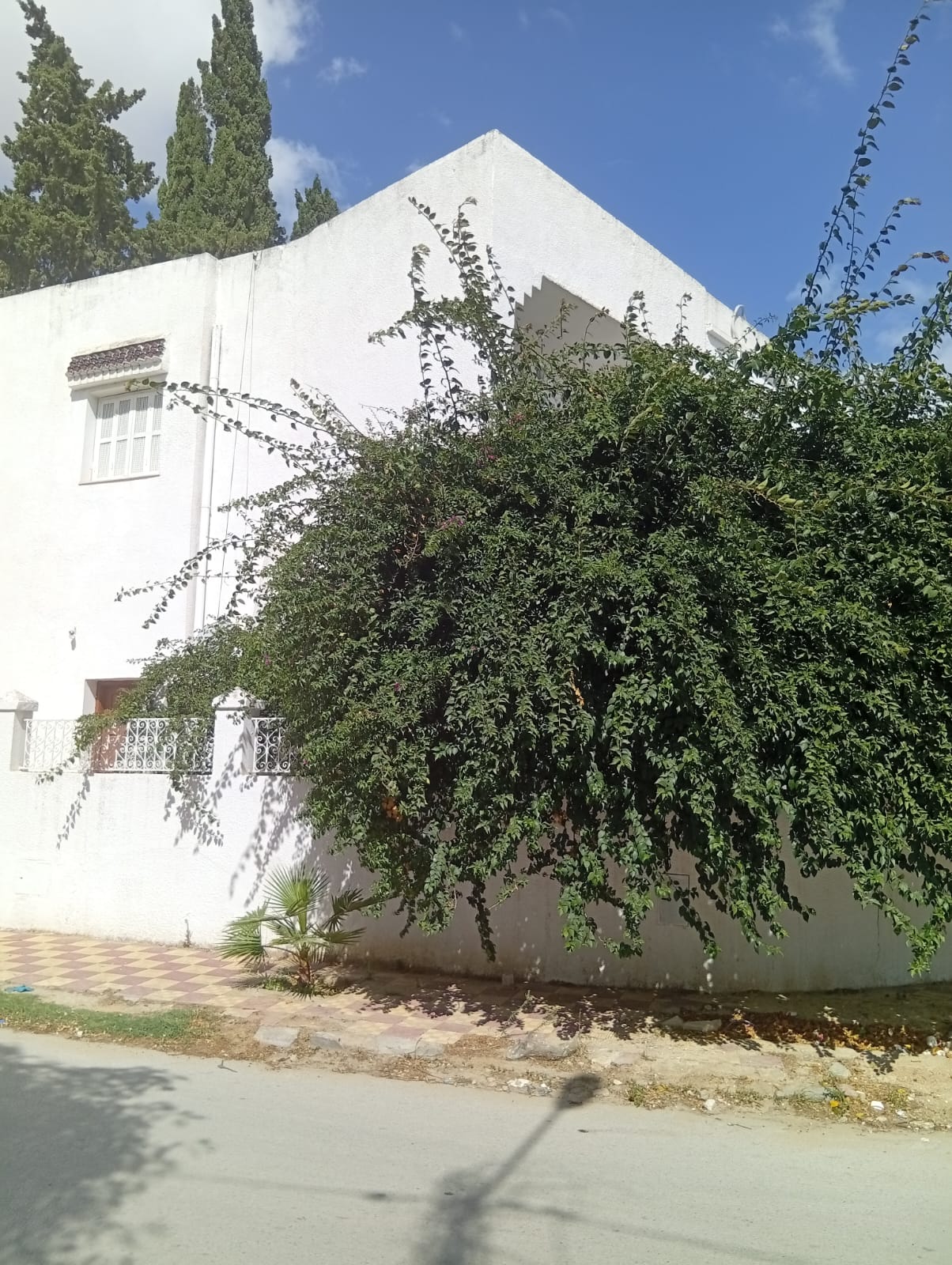 Le Bardo Le Bardo Vente Maisons Vends villa