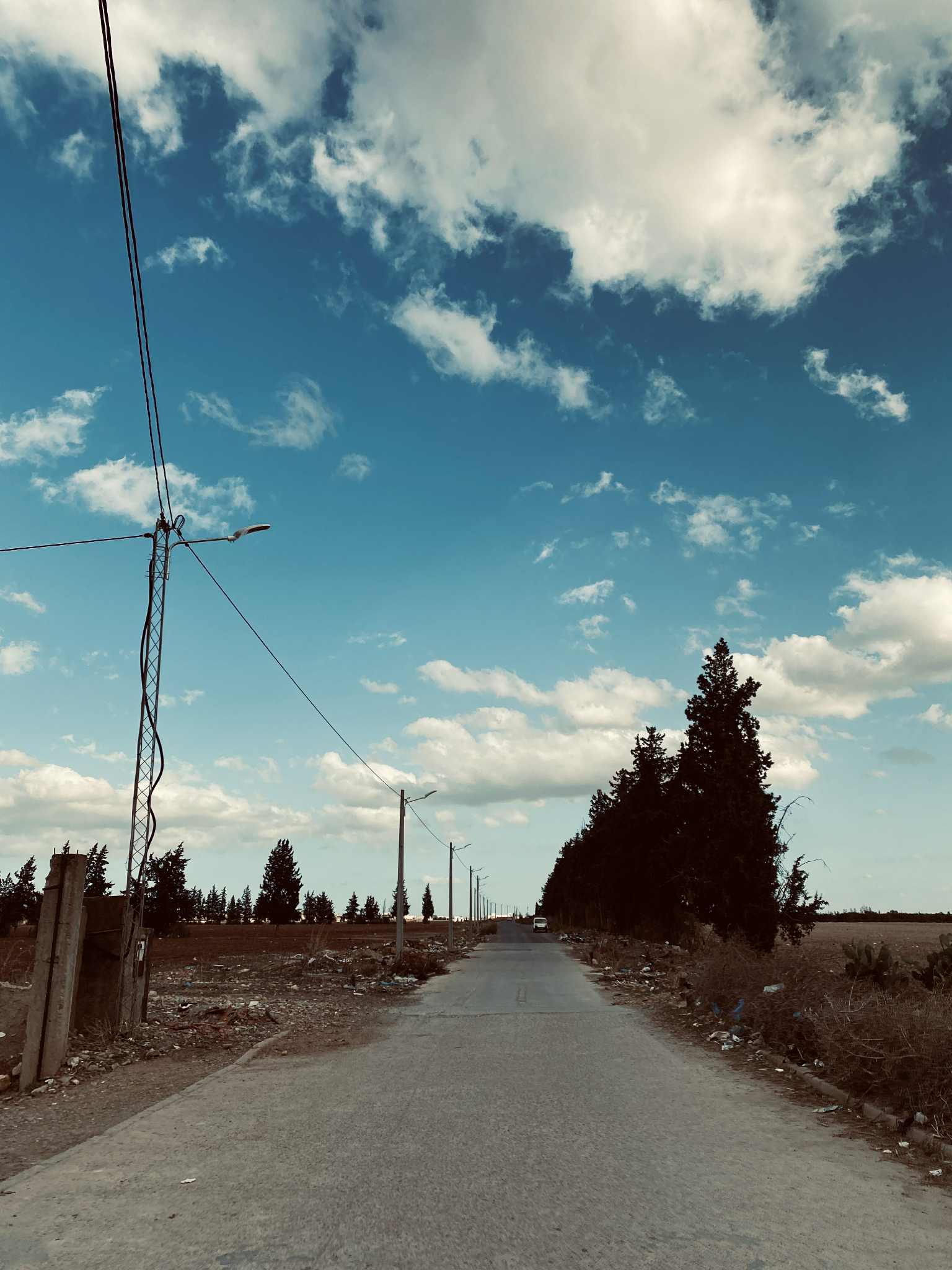 Oued Ellil&nbsp;Oued Ellil&nbsp;Vente&nbsp;Surfaces&nbsp;Terrain agricole � bjeoua oued ellil manouba