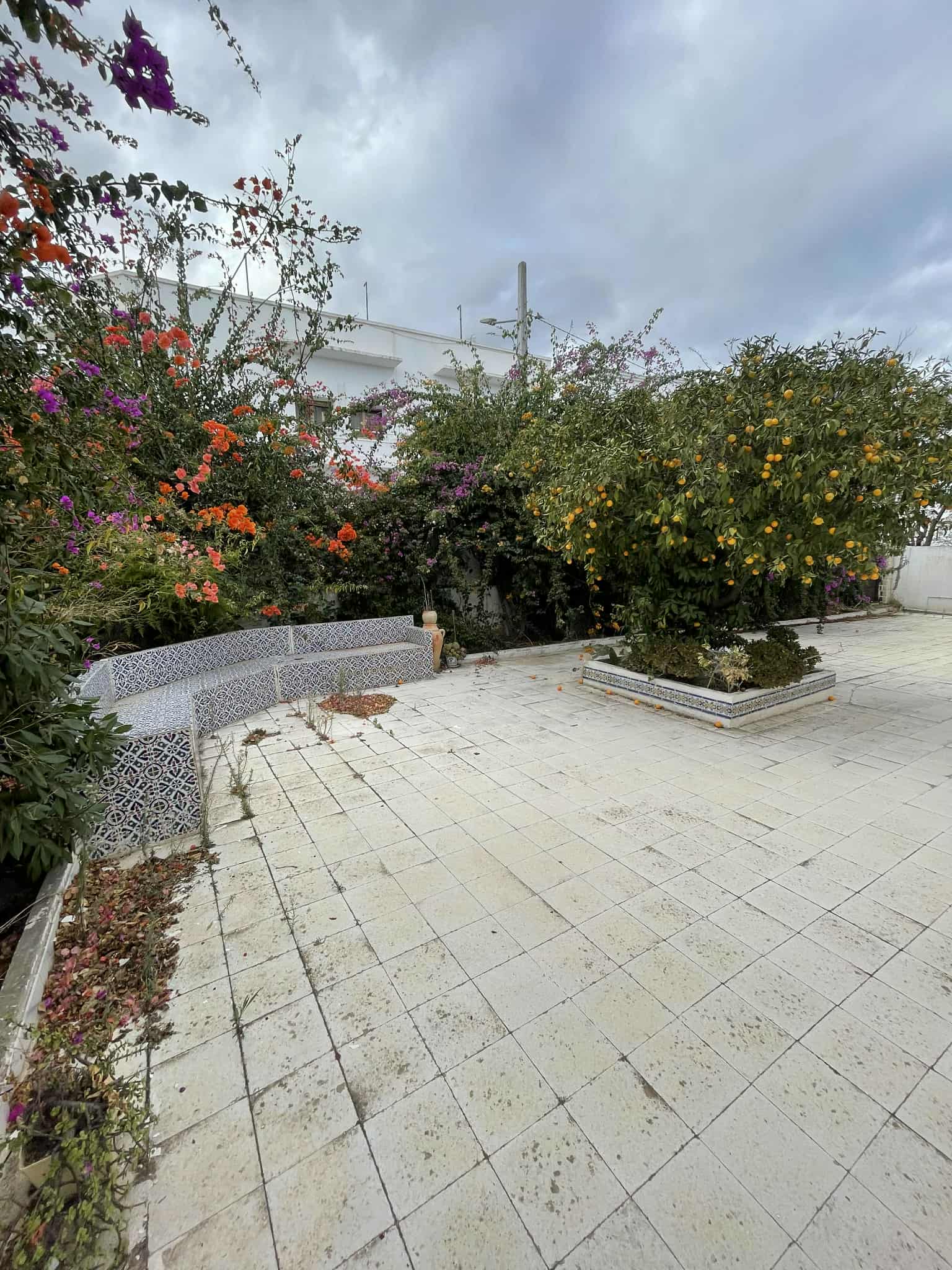 Vente Maisons - Tunisie