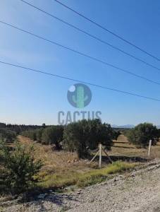 Nabeul Nabeul Vente Surfaces   terrain agricole de 9460m ref627a