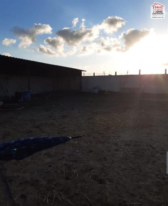 Soliman Soliman Vente Surfaces Terrain agricole baya  solimen