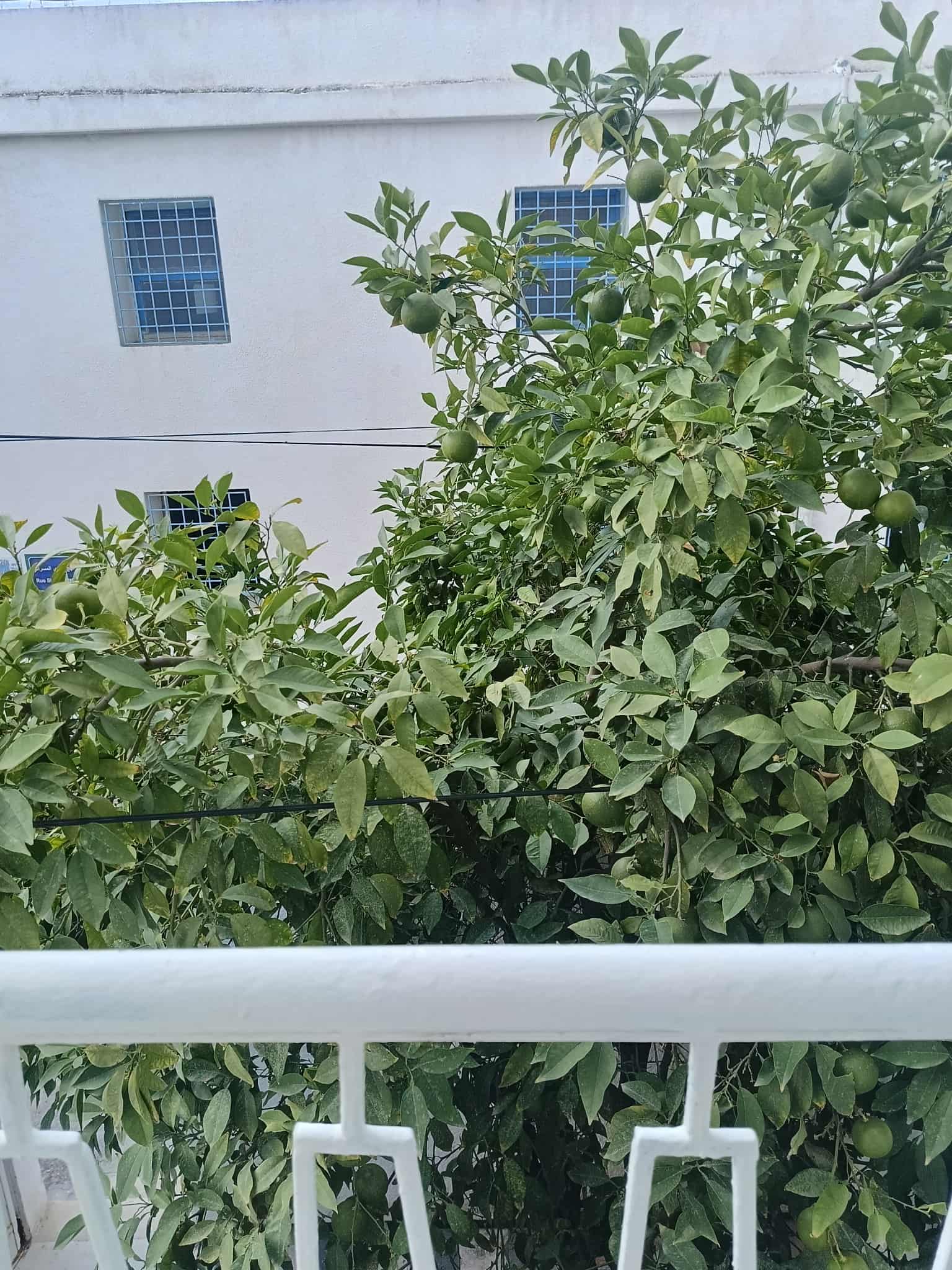 Vente Duplex - Tunisie