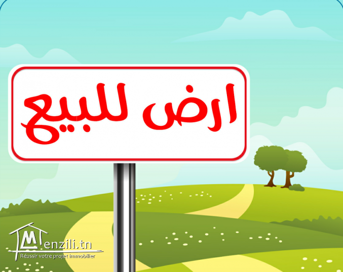 Vente Autre - Tunisie