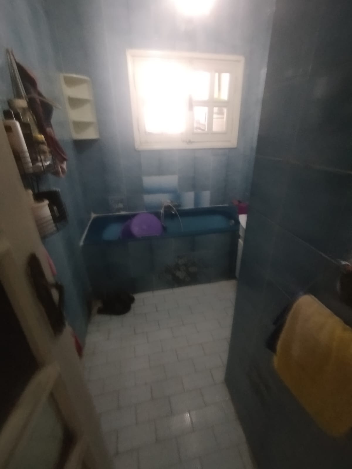 Ariana Ville El Menzah 7 Vente Appart. 5 pices+ Un vaste appartement s4  menzah7