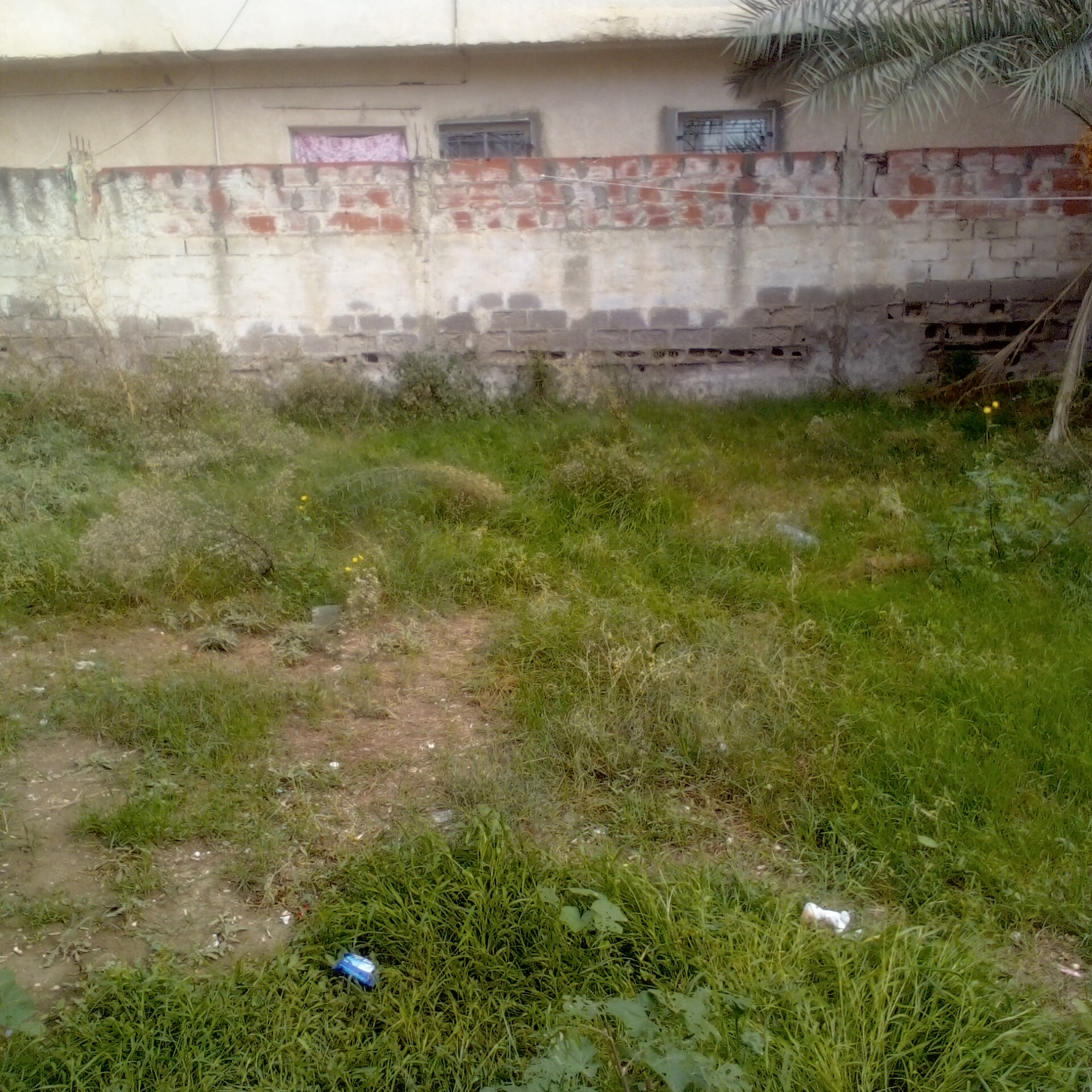 La Soukra&nbsp;Mosque Erraoudha&nbsp;Vente&nbsp;Autre&nbsp;Un terrain � 103 000 dt