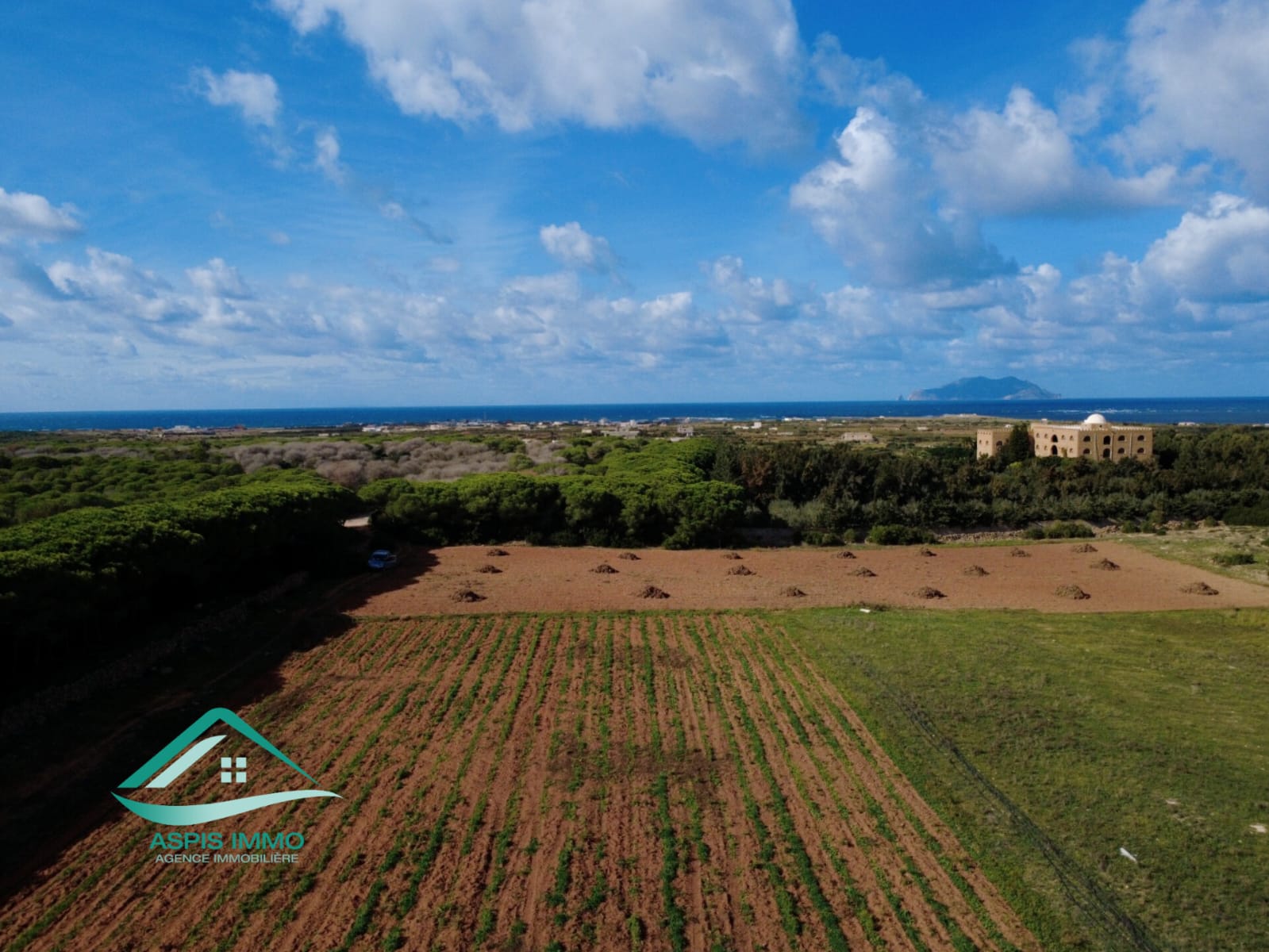 Vente Surfaces - Tunisie