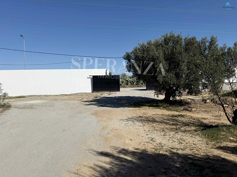 Vente Surfaces - Tunisie