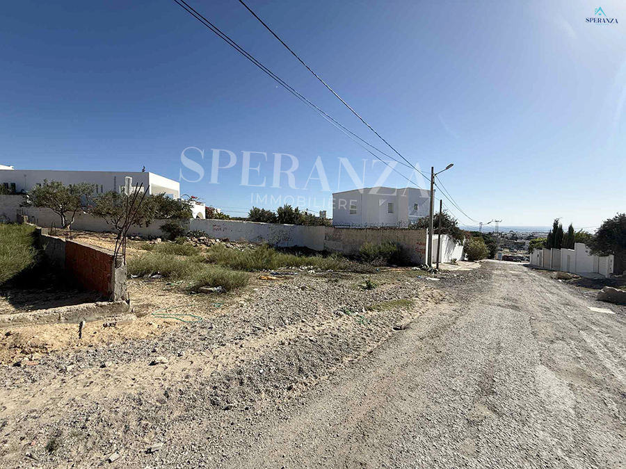 Vente Surfaces - Tunisie