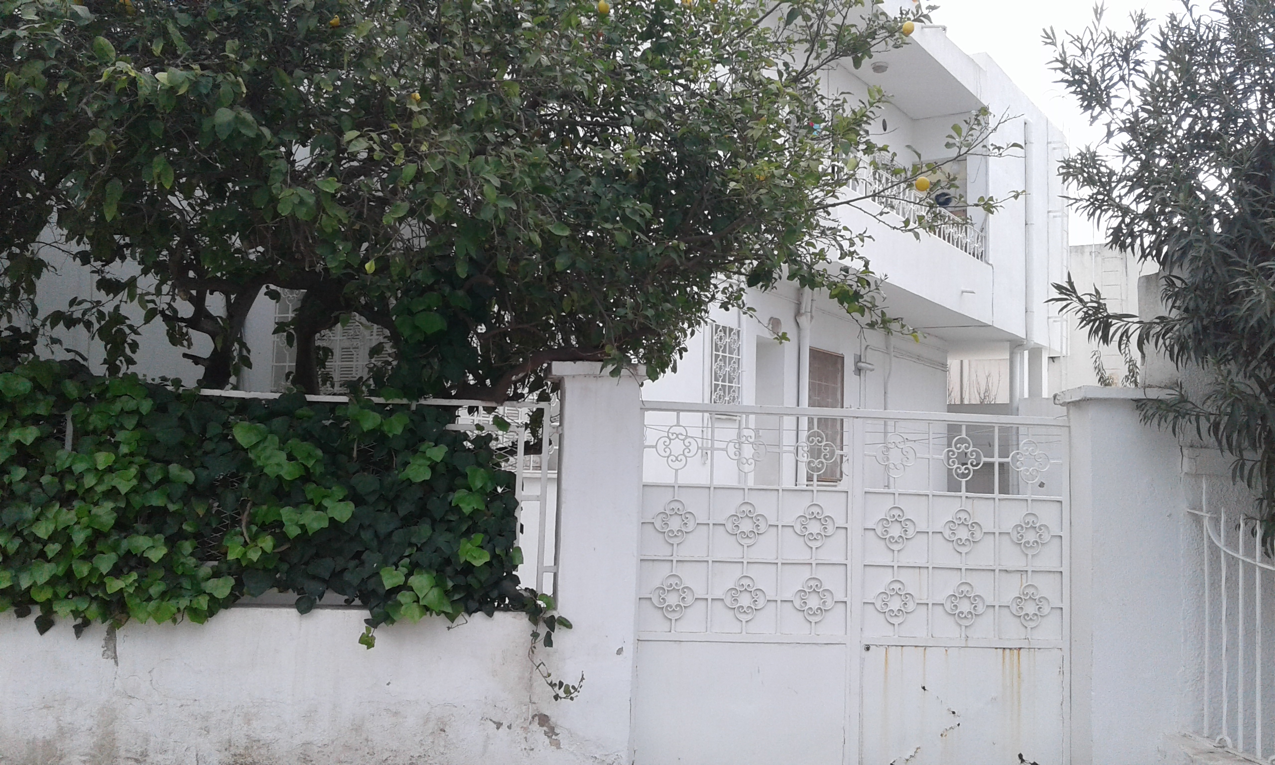 El Menzah&nbsp;Mutuelle Ville&nbsp;Vente&nbsp;Maisons&nbsp;Villa  a  mutuelle ville