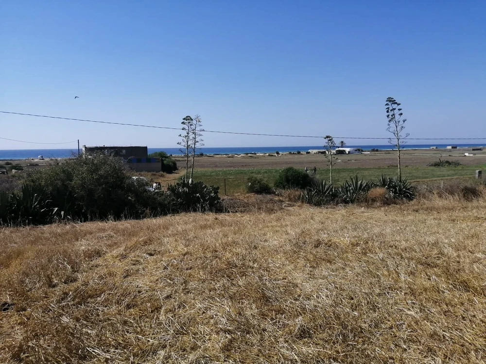 Menzel Temime Sidi Jameleddine Vente Surfaces Terrain au cap bon