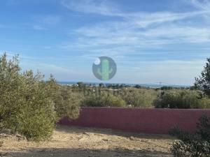 Vente&nbsp;Surfaces - Tunisie