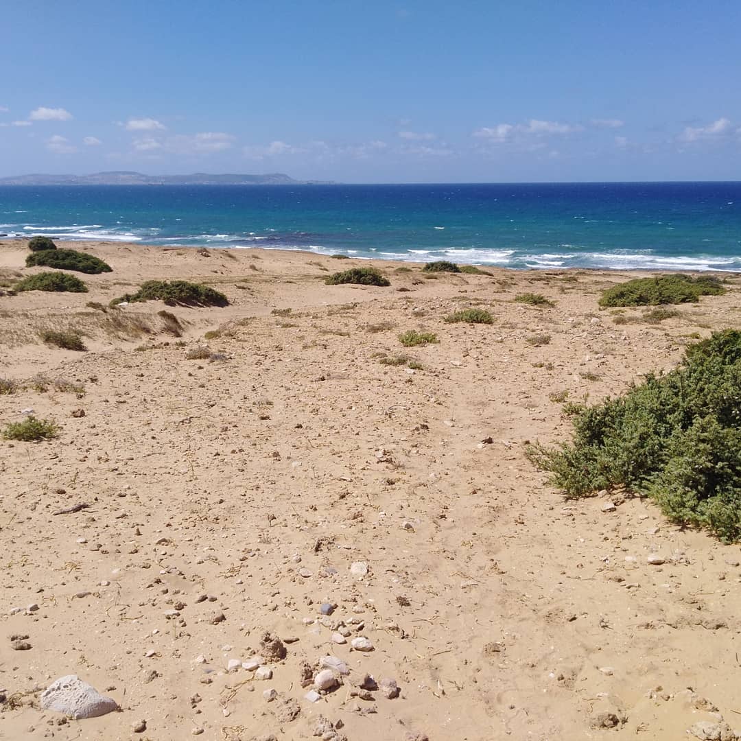 Vente&nbsp;Surfaces - Tunisie